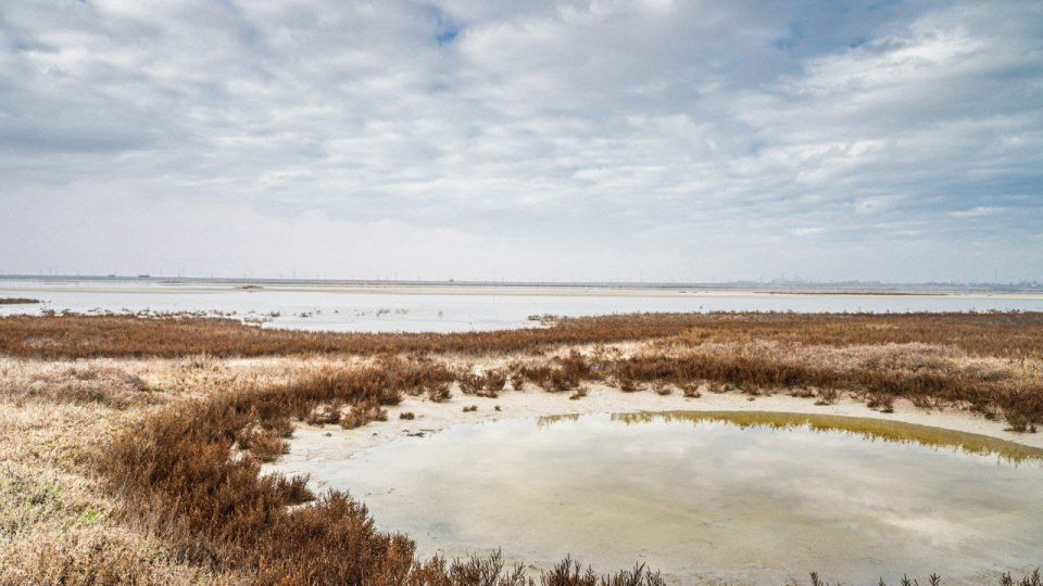 ���������� ��������.. ������ ����, ����������!