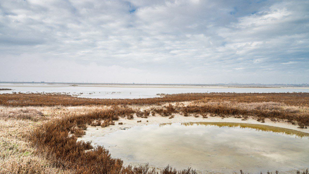 Херсонские просторы.. Доброе утро, Херсонщина!