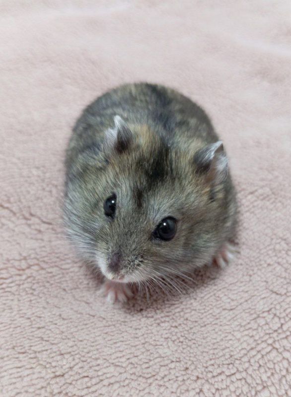 ������ � �� �������!. ������, �������, ������� �� ��� �� ��������� ���� �������� �������� ����� ����������