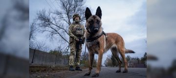 Росгвардейцы за месяц изъяли более 50 кг взрывчатки в Запорожской и Херсонской областях за месяц