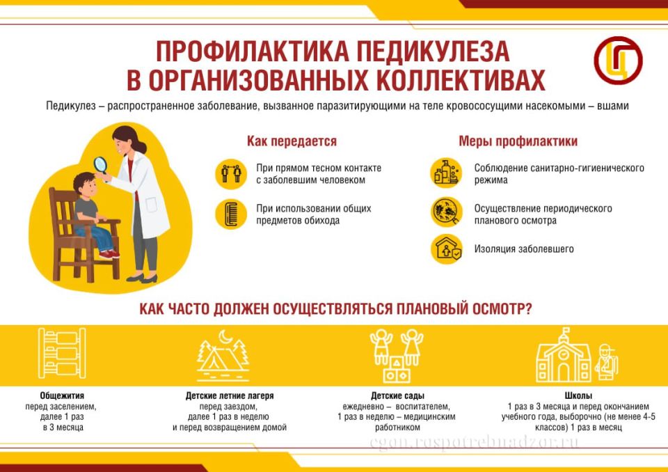 ����������� � ������������ ���������� � �������