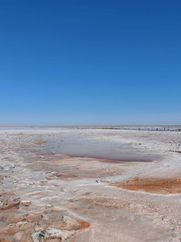 �� �����-������ ������������� ������� ����� ��� ��������, ��� ��������� ������ ����-��������?