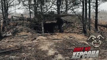 Херсон. Расчет орудия «Мста-Б» группировки войск «Днепр» уничтожил пункт управления БпЛА с личным составом ВСУ на правом берегу Енот из Херсона