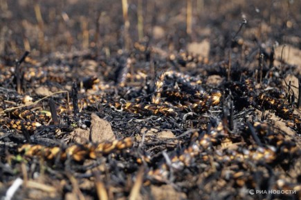 ВСУ за сутки нанесли 40 ударов по населенным пунктам в Херсонской области