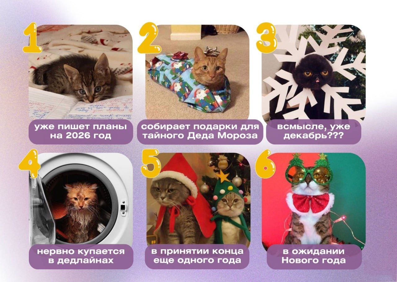 Представляете… скоро НОВЫЙ ГОД!