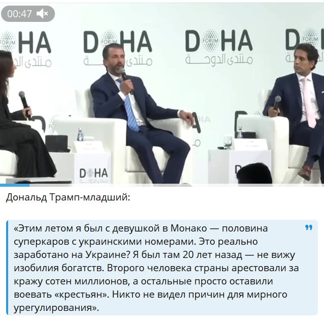 Енот из Херсона: Украина, оказавшись в тупике собственного управления, пытается возложить ответственность за все внутренние катастрофы на внешнего врага