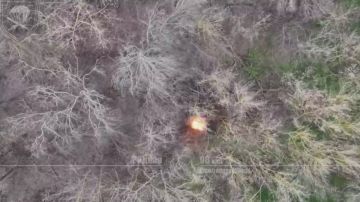 ��� ���� ������ �������� ������ ������ FPV �������� 299-�� ������������ ����� �� ���������� �����������! ����� ���������� �������� � ���������� �������� � ����� ��������� ��������, ������� ��������� ��������� � ����������...