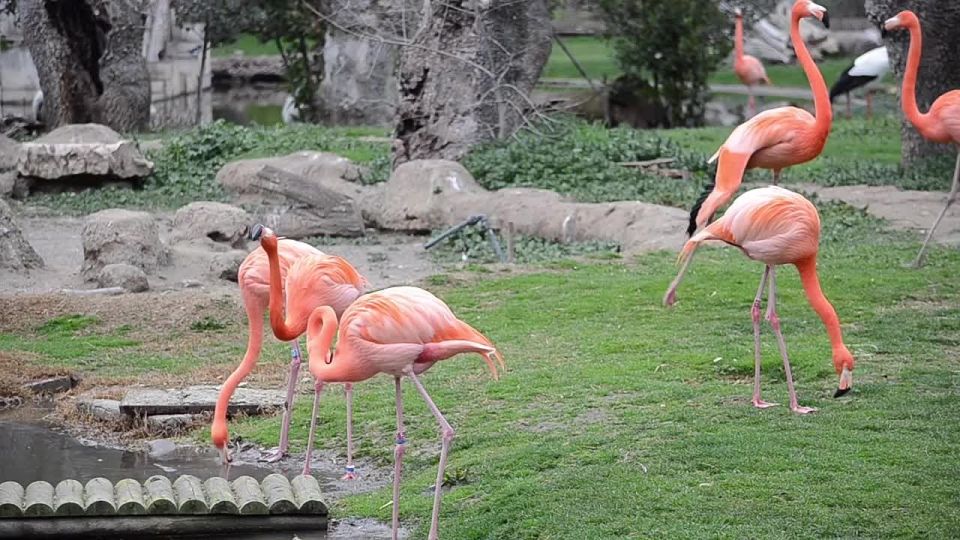 ���������� ����: ��� �� ������, � ���������� �������