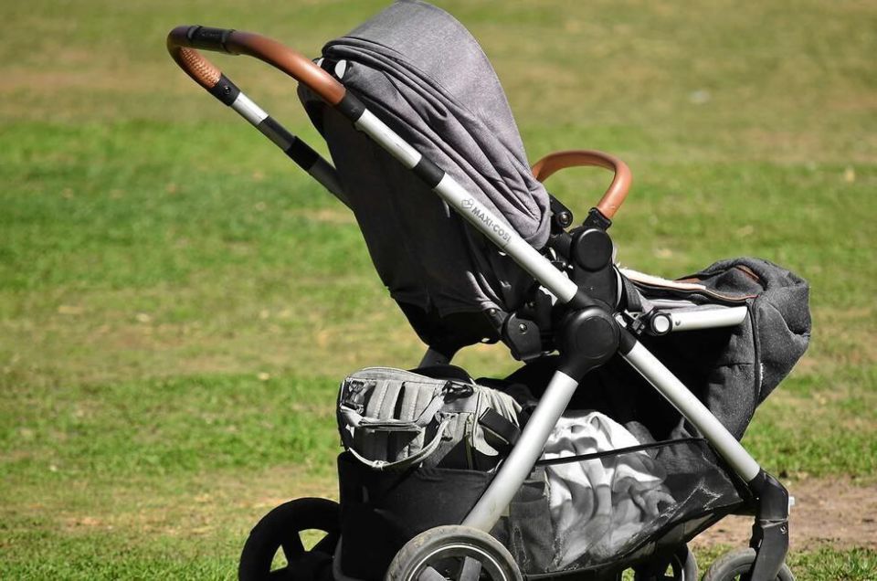 ����� �������� ������������� ������ ������� ������ �� 2026 ���