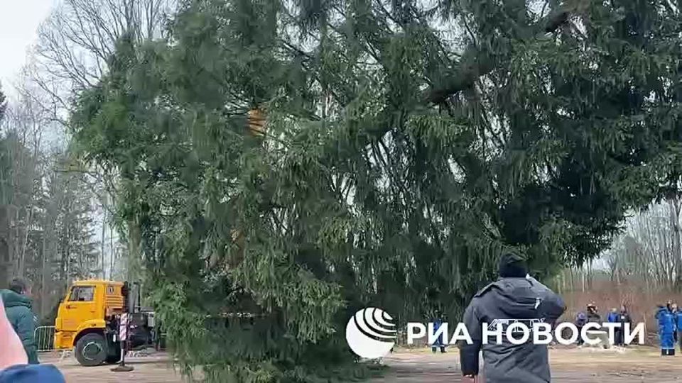 ������� ���������� ���� ������ ������� � �����������