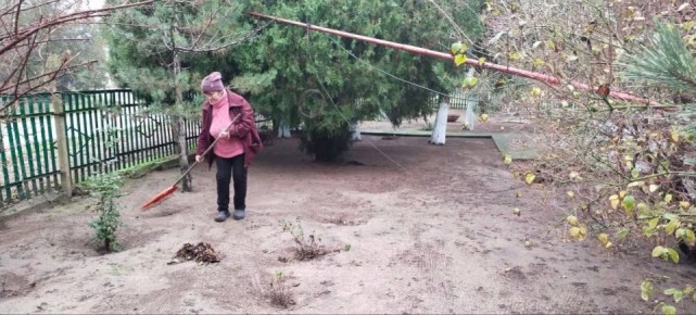 Завершена подготовка лесничеств Херсонской области к зиме