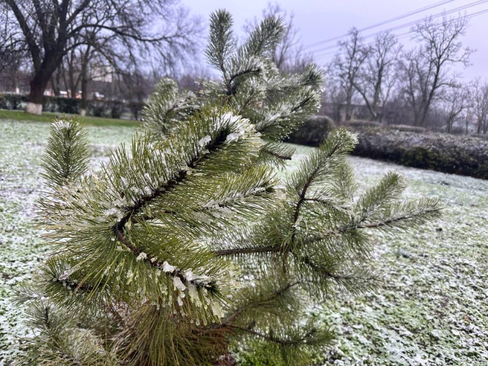 ������ ���� � ��������!. ������� ������ ����������� �������������� ������! ����������� ��� � ������ ����������� ������! ����� ���� ������� ������ ������ ������� ��������, ��-���������� ������ ������ � ����� ������