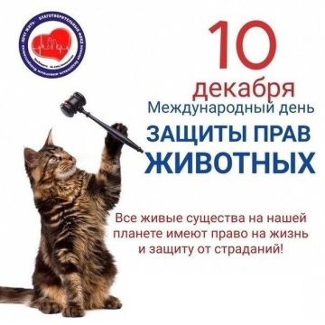 Праздники 10 декабря. День прав человека День создания службы связи МВД России Международный день прав животных Всемирный день футбола День Нобеля Праздник иконы Божией Матери, именуемой «Знамение» День сидения на окне День...