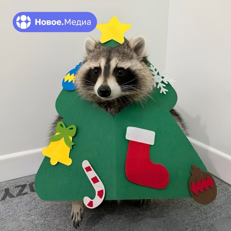 ���� �� �������: ����� ��� � �����, ����� ���������� ����� �����, � � ������ �������� ����������