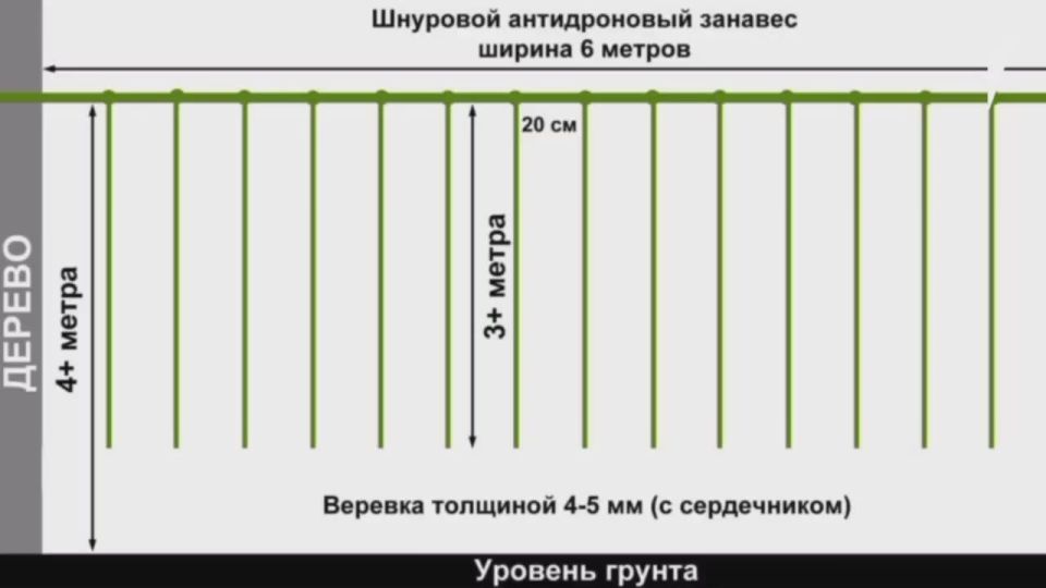 ������ ������������� ����� ��������� ������ ������������ �����