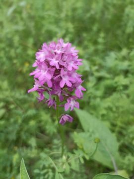 С добрым утром, Малокаховка!