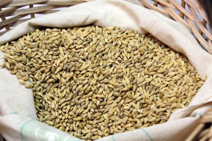 Еще три предприятия Херсонской области получили статус семеноводческого хозяйства