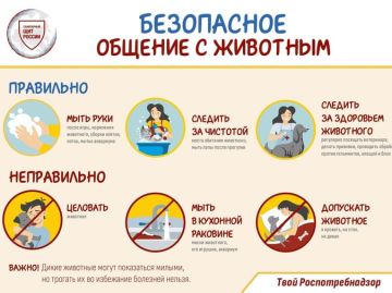 Безопасное общение с животными