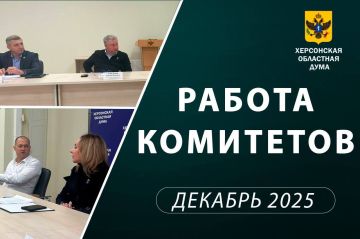 Поддержали позицию Правительства РФ: Комитет по финансам и бюджету рассмотрел федеральные инициативы