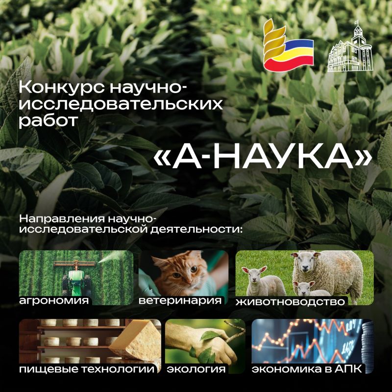 ������ ���� ������ �� ������� ������-����������������� ����� ��-������