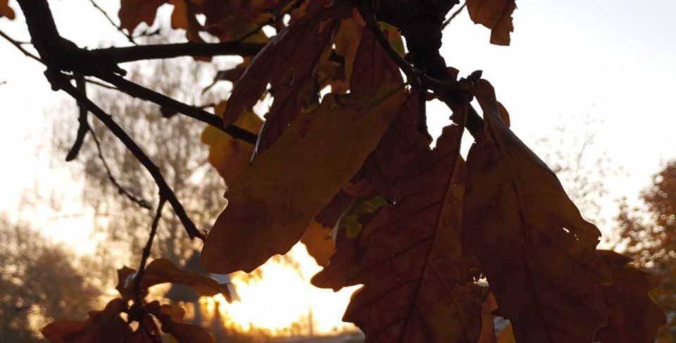 ��������� ����, �����������!