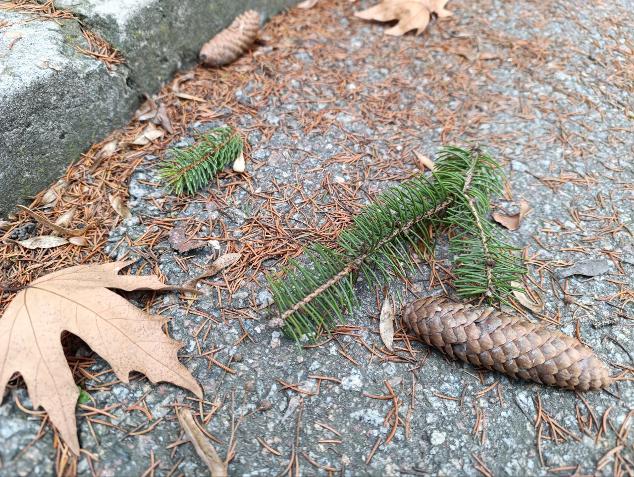 Доброе утро, жители Каховского муниципального округа!