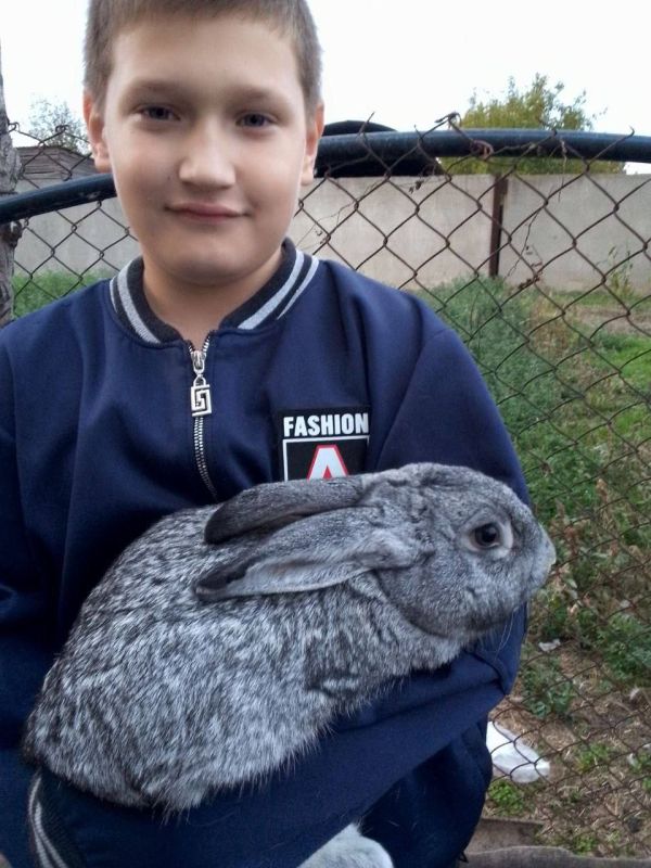 ������ � �� �������. ������� ����� ���������� ��������� ����� ���� ����������: �������� ������ ���������, ������ � ����� ���� ����� � ������� ������ �������