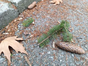 Доброе утро, жители Каховского муниципального округа!