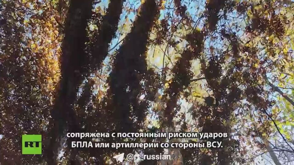 RT ����������� ������������� �������� � ��������� ����� ������ �� ���������� ������