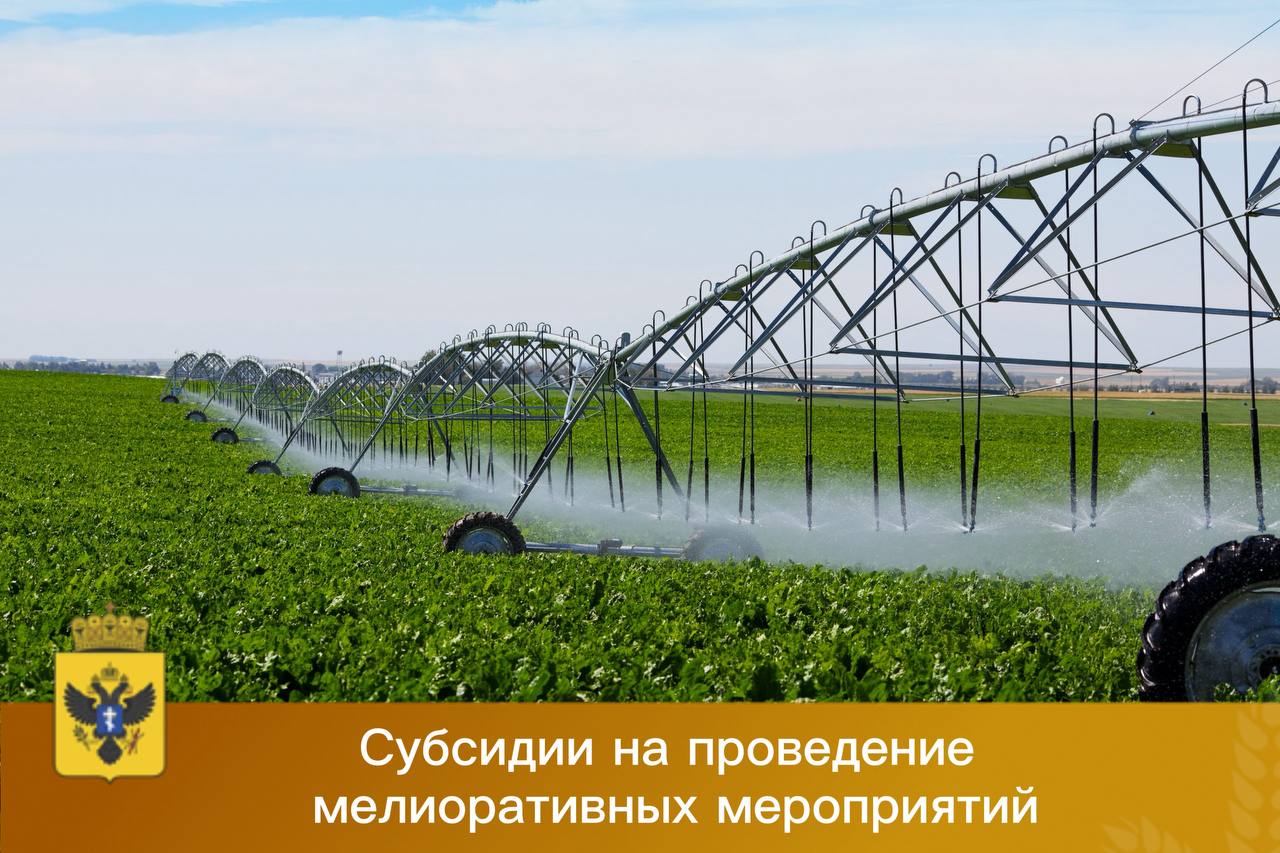 Стартует прием заявок на получение субсидии на проведение мелиоративных мероприятий
