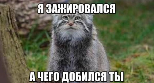 В метасловарь русского языка включили новое слово