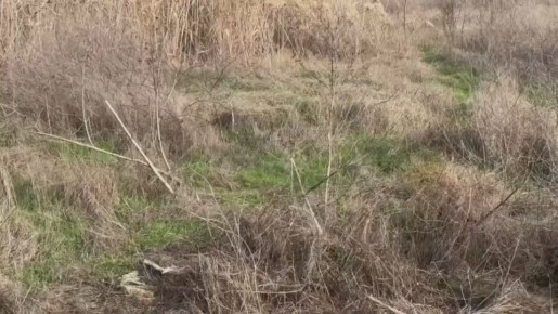 Ребята из расчётов ударных беспилотников группы войск «Днепр» как часы работают на правом берегу Днепра