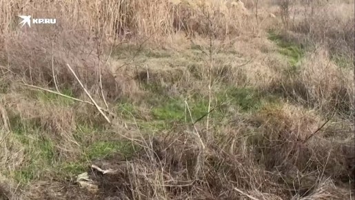 ВС РФ уничтожили БТР и пункт снабжения ВСУ на правобережье Херсонской области