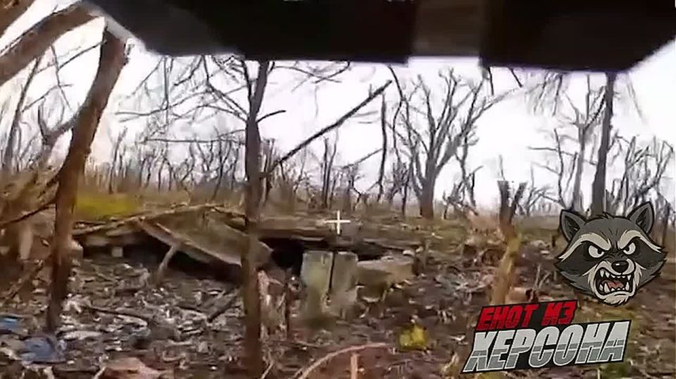 ������� �������. ������� ����� ����������� ������ ����������� ����� ������ ���������� ������ ������ � ������� ��� ���� �� �������