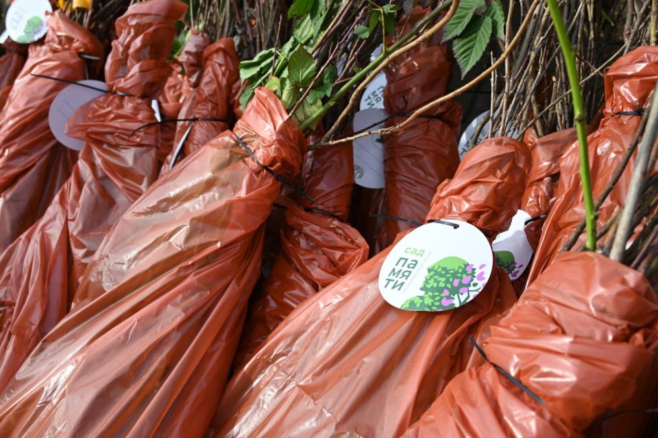 � ���������� ������� ������� ������� ��� ����������� ����� � ������ �������-������������ ������