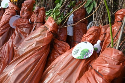 В Херсонской области раздали саженцы для возрождения садов в рамках эколого-гуманитарных миссий