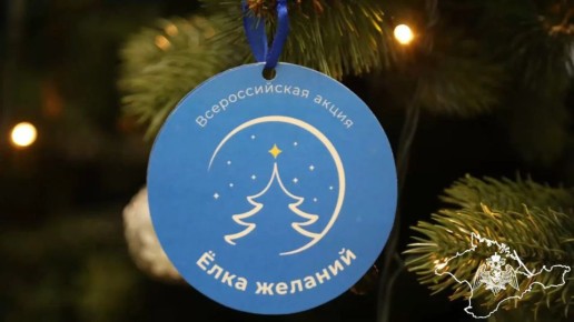 В преддверии Нового года в Чаплинском муниципальном округе проходит удивительная и добрая акция - «Ёлка желаний»