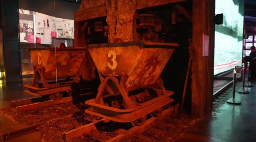 Дети из Херсонской области побывали в этом году в Севастополе в рамках проекта «Херсонес для детей»