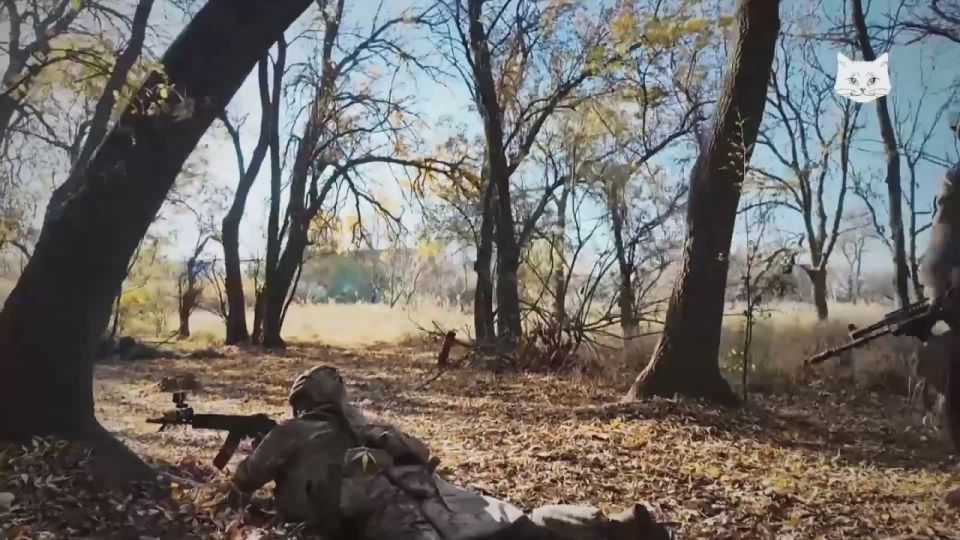 ���������� ��������������� 126-� ����� �� ���������� ����������� ������������ ������� ���������� ������������, � ��� ����� �� ���� �����������, ��� �������� �������� � ������� ��������, � ��������� ��� ����������� �������...