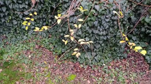 Доброе утро, подписчики нашего канала!