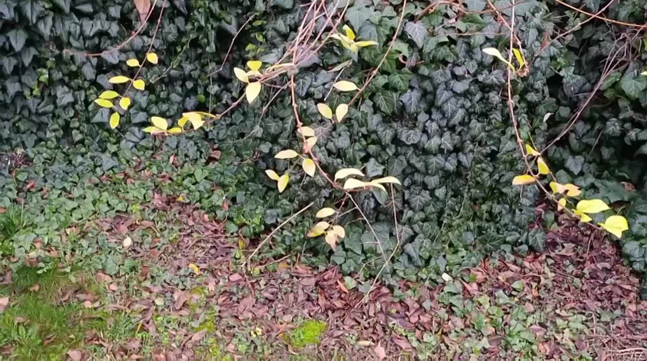 Доброе утро, подписчики нашего канала!