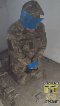 Для всех, кто сомневался: прямое подтверждение с Карантинного