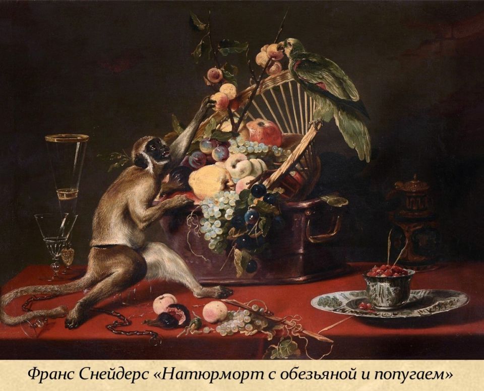 14 ������� � ������������� ���� �������