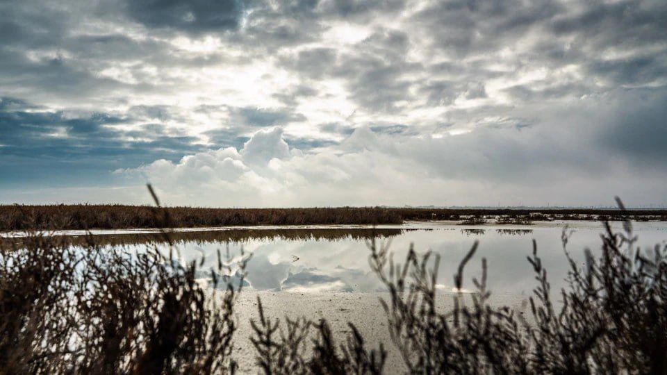 �����-��������� ���� �������� � ���������� �������