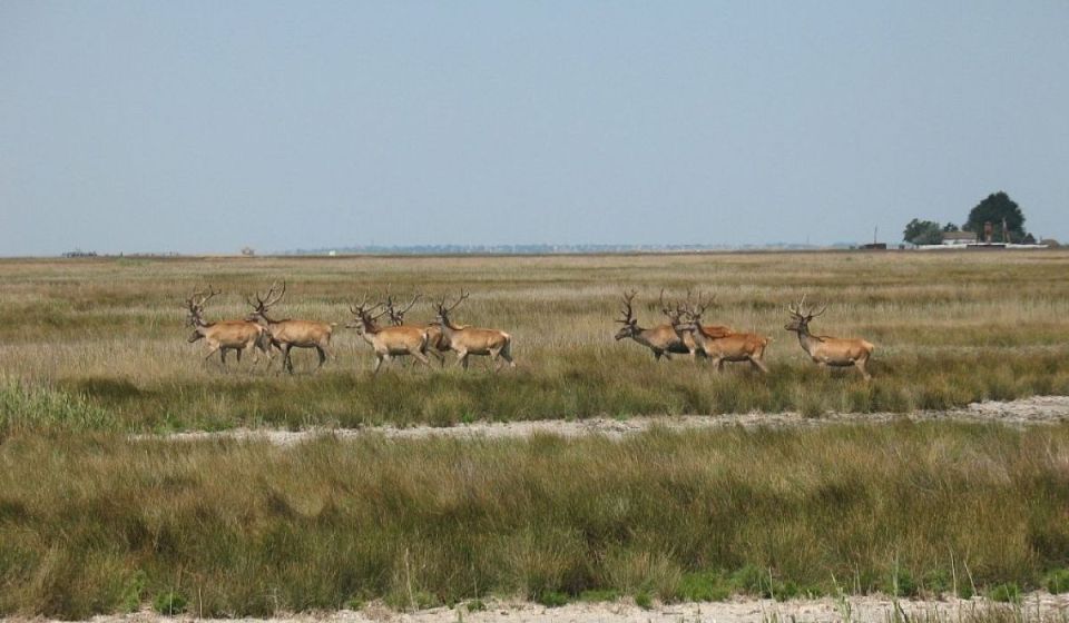 1 �� ���������� ����� ������ ����� ������������ ���� ��� ������ ���� � �������