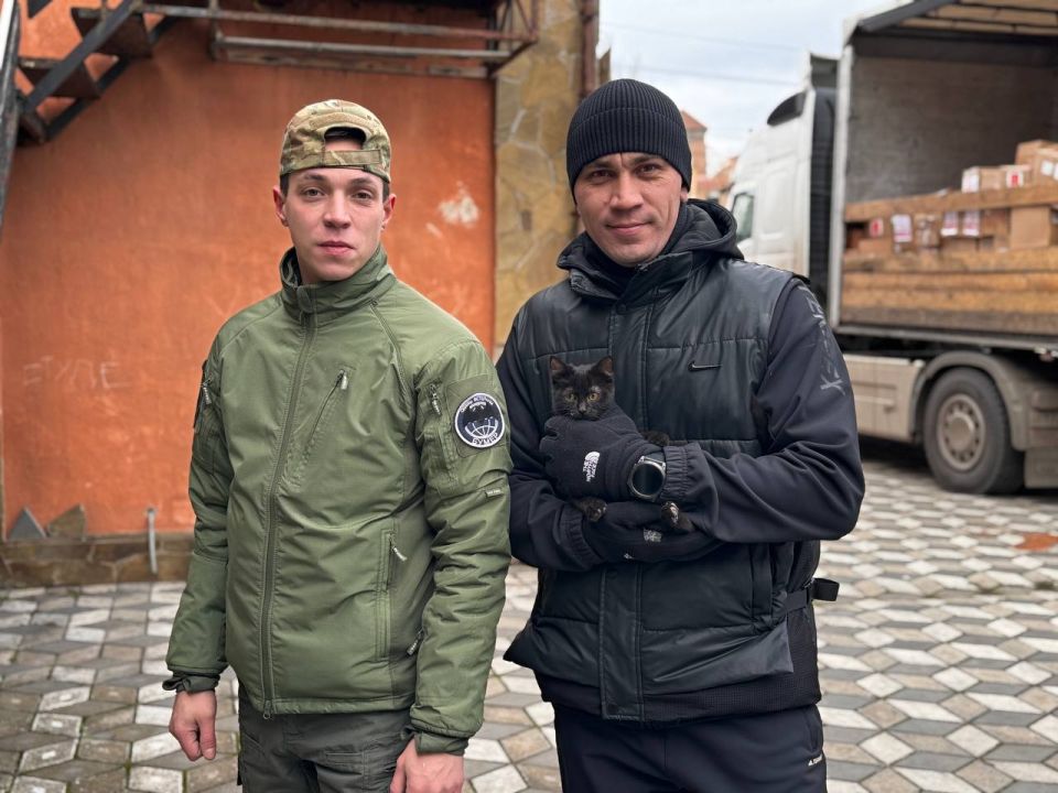 ������ ������������: ������� ����������� � ���������� ����������� ������� ��������, ������ ���������������� ��������� ������� ���������� � ��������, �������� �����