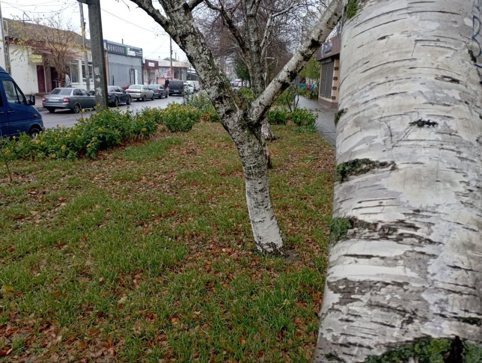 ������ ����, ������ ���������� �������������� ������!