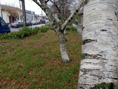 Доброе утро, жители Каховского муниципального округа!