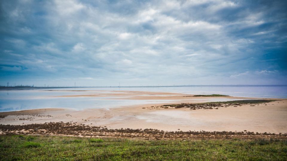 ������. �������������. ����������