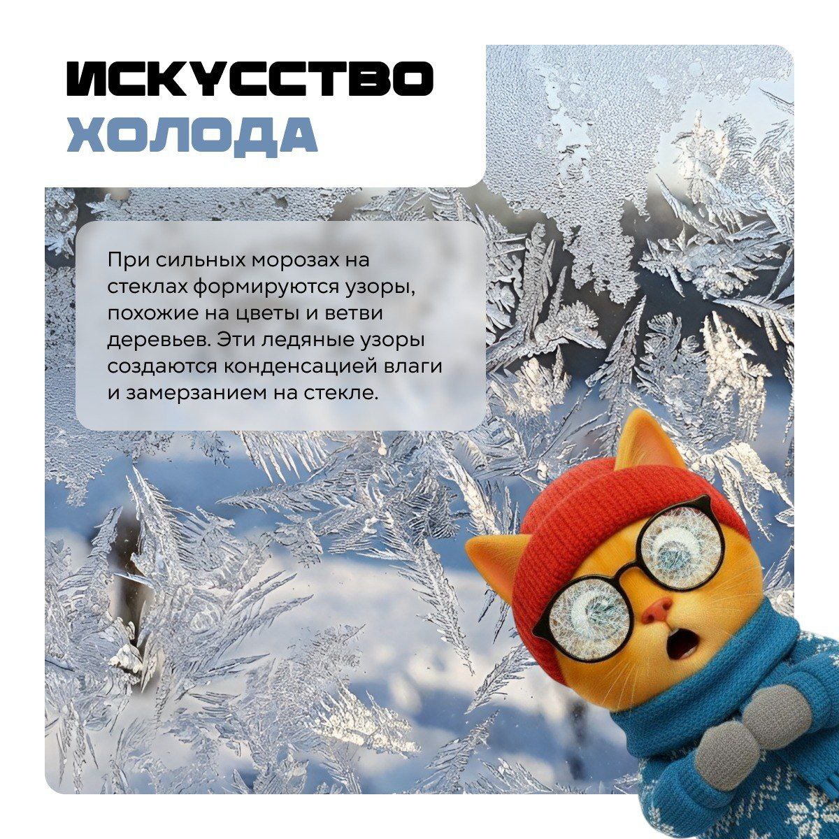 Зима — это не просто холод и короткие дни